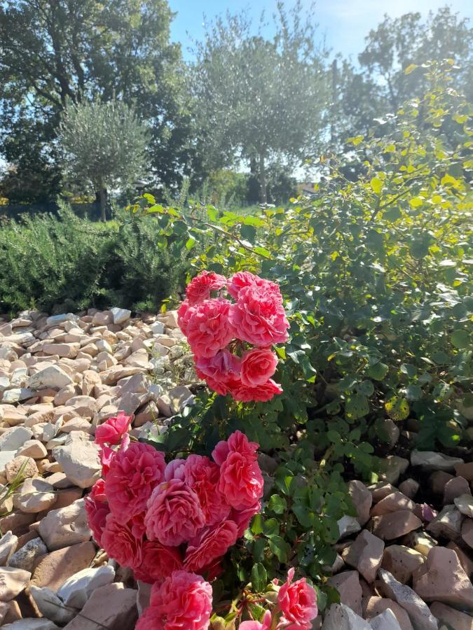 Relais Villa Sofia Calcinelli Екстериор снимка