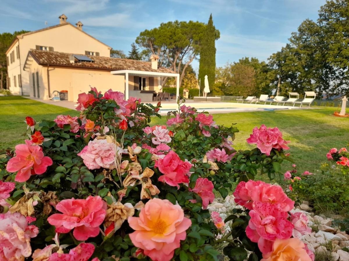 Relais Villa Sofia Calcinelli Екстериор снимка